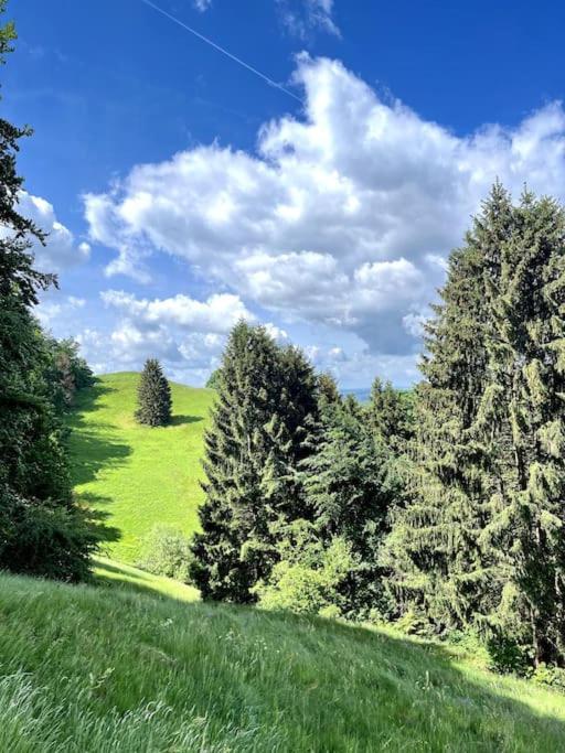 Ferienwohnung Am Hang Mit Malerischer Aussicht Osterode am Harz Eksteriør bilde